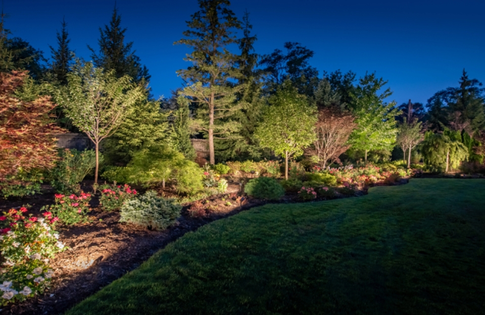 Landscape lighting in a garden